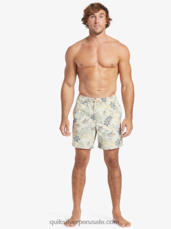 Quiksilver N8LNT408 hombres sensación perfecta de arroz integral Waterman sensación perfecta 17 voleas