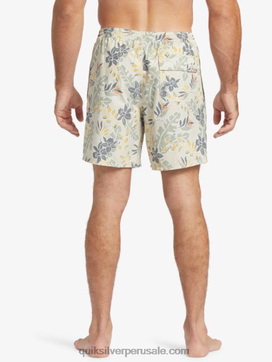 Quiksilver N8LNT408 hombres sensación perfecta de arroz integral Waterman sensación perfecta 17 voleas