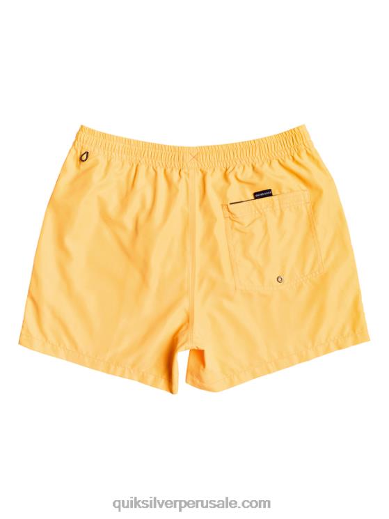Quiksilver N8LNT459 hombres estallido de naranja todos los días 15 voleas
