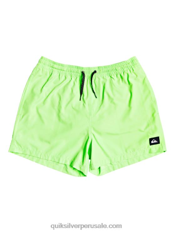 Quiksilver N8LNT460 hombres geco verde todos los días 15 voleas