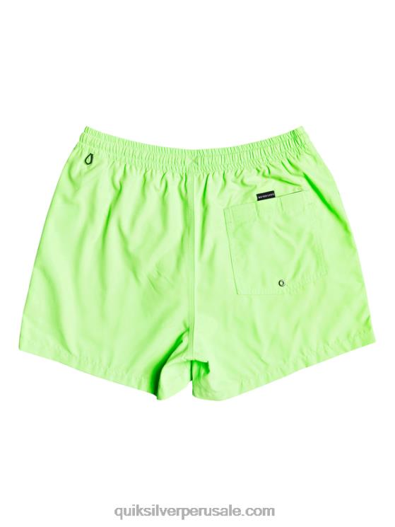 Quiksilver N8LNT460 hombres geco verde todos los días 15 voleas