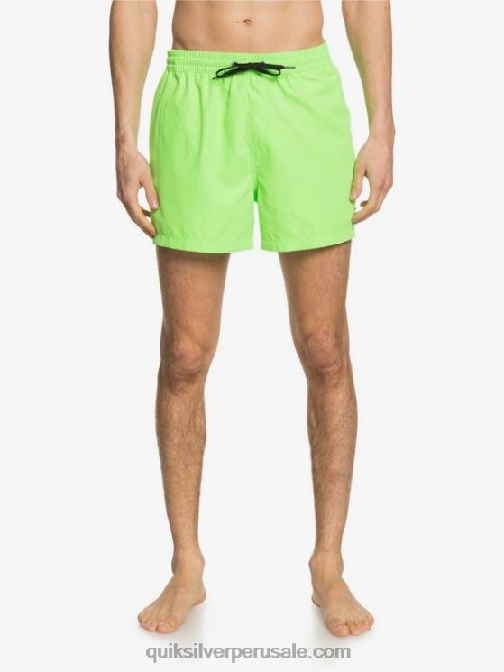 Quiksilver N8LNT460 hombres geco verde todos los días 15 voleas