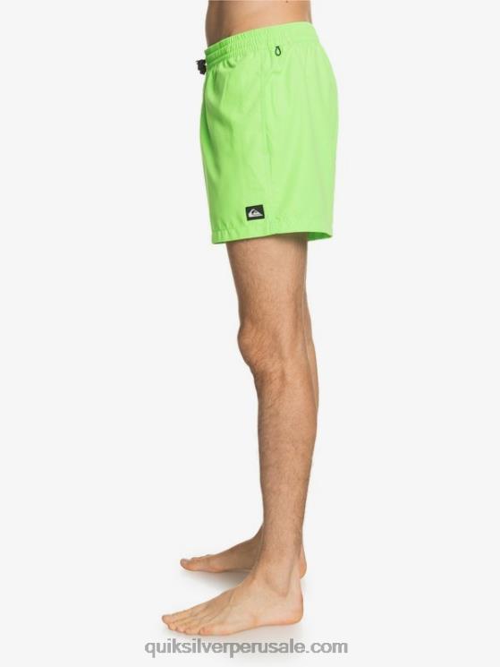Quiksilver N8LNT460 hombres geco verde todos los días 15 voleas