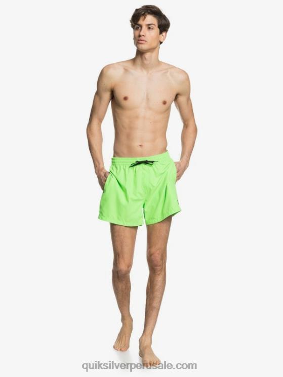 Quiksilver N8LNT460 hombres geco verde todos los días 15 voleas