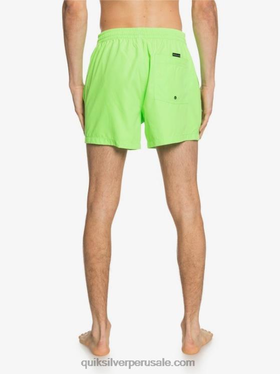 Quiksilver N8LNT460 hombres geco verde todos los días 15 voleas