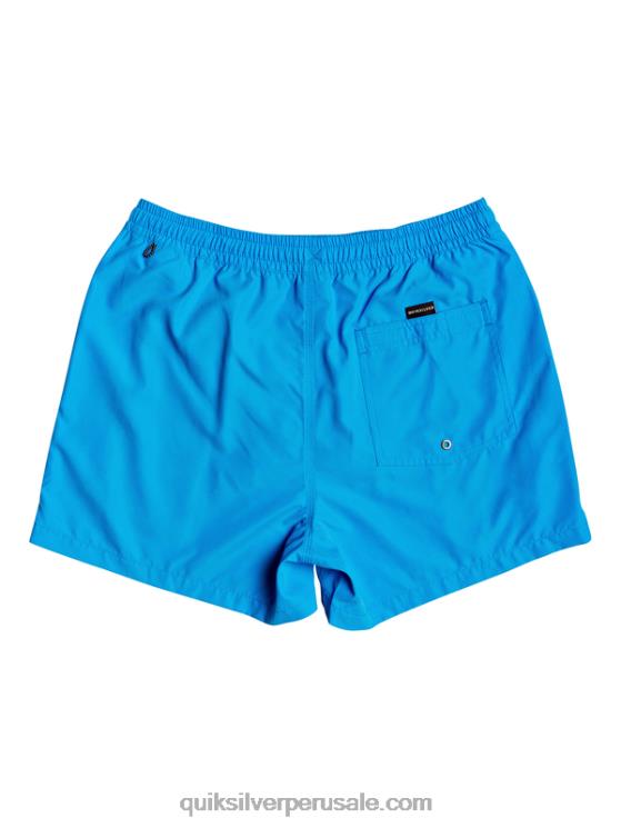 Quiksilver N8LNT461 hombres alegre todos los días 15 voleas