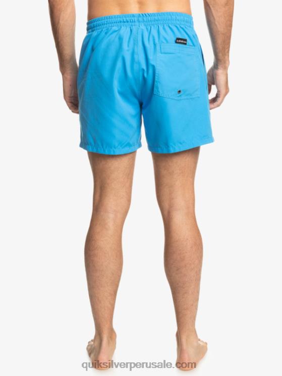 Quiksilver N8LNT461 hombres alegre todos los días 15 voleas