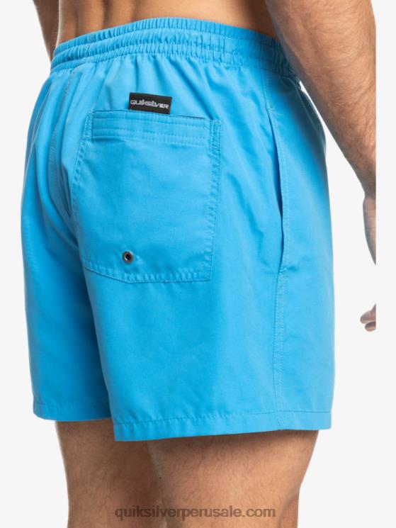 Quiksilver N8LNT461 hombres alegre todos los días 15 voleas