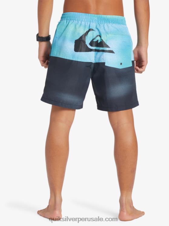 Quiksilver N8LNT482 hombres río azul logo a tope 17 voleas