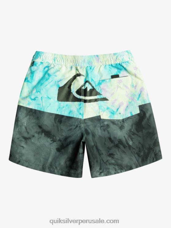 Quiksilver N8LNT486 hombres negro logo a tope 17 voleas
