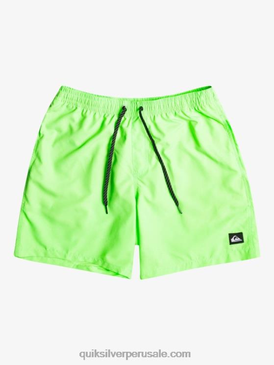 Quiksilver N8LNT621 hombres geco verde todos los días 17 voleas