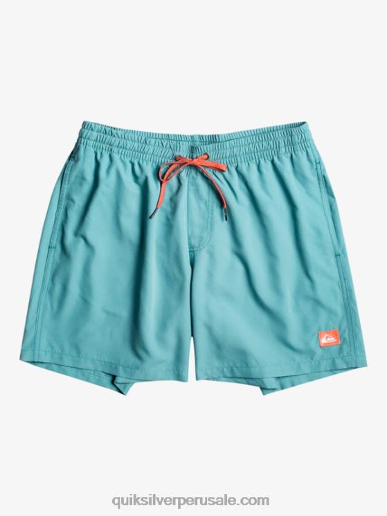 Quiksilver N8LNT627 hombres azul bretaña todos los días 17 voleas