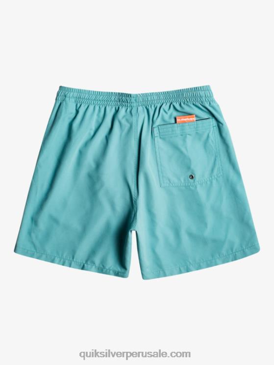 Quiksilver N8LNT627 hombres azul bretaña todos los días 17 voleas