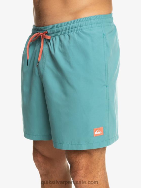 Quiksilver N8LNT627 hombres azul bretaña todos los días 17 voleas