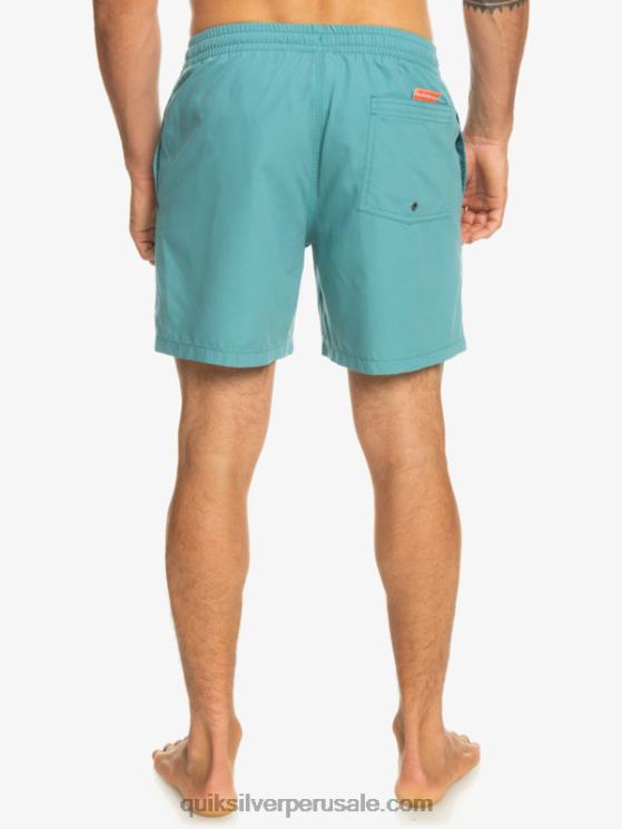 Quiksilver N8LNT627 hombres azul bretaña todos los días 17 voleas