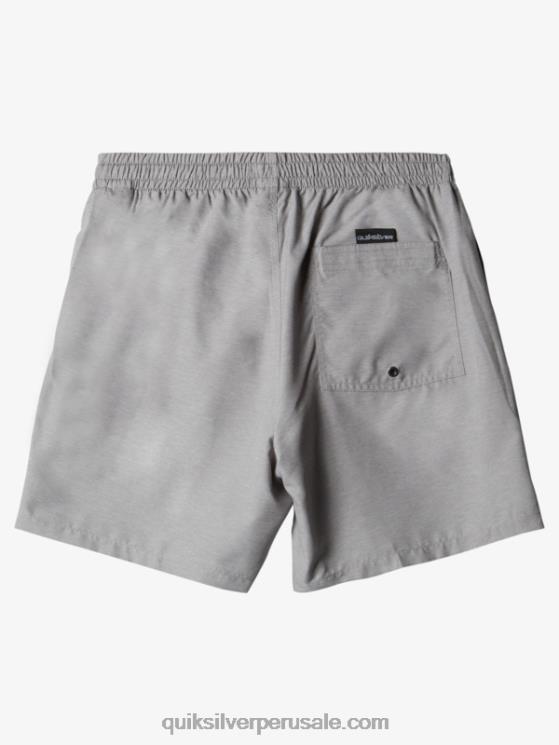 Quiksilver N8LNT629 hombres brezo aguanieve todos los días 17 voleas