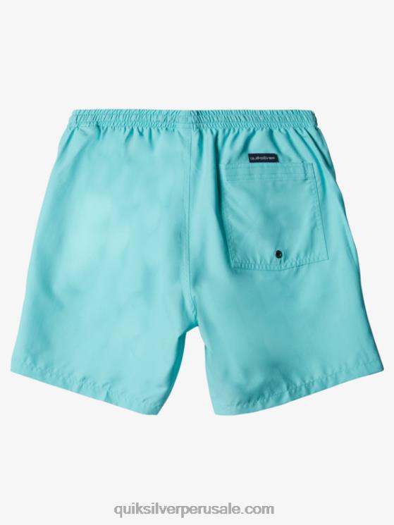 Quiksilver N8LNT630 hombres ángel azul brezo todos los días 17 voleas