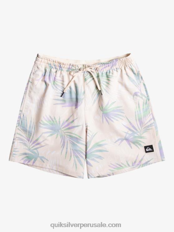 Quiksilver N8LNT635 hombres abedul mezcla surfsilk 17 voleas