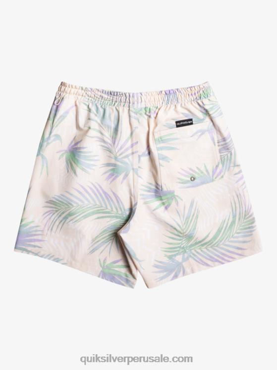 Quiksilver N8LNT635 hombres abedul mezcla surfsilk 17 voleas