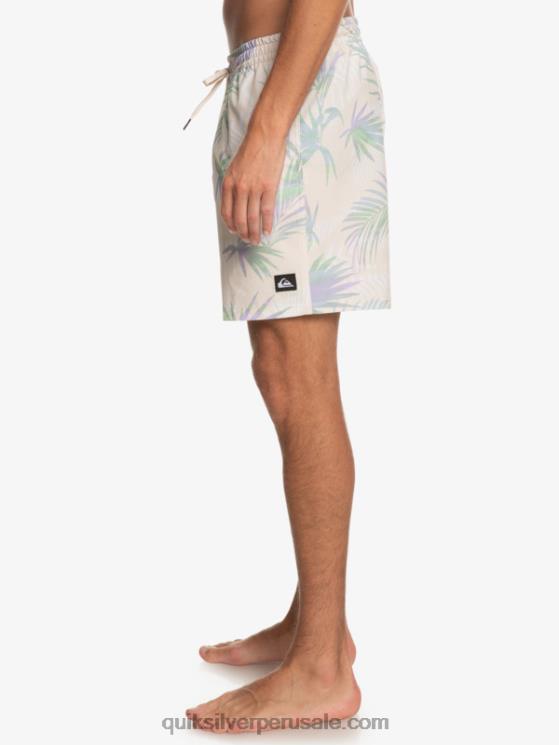 Quiksilver N8LNT635 hombres abedul mezcla surfsilk 17 voleas
