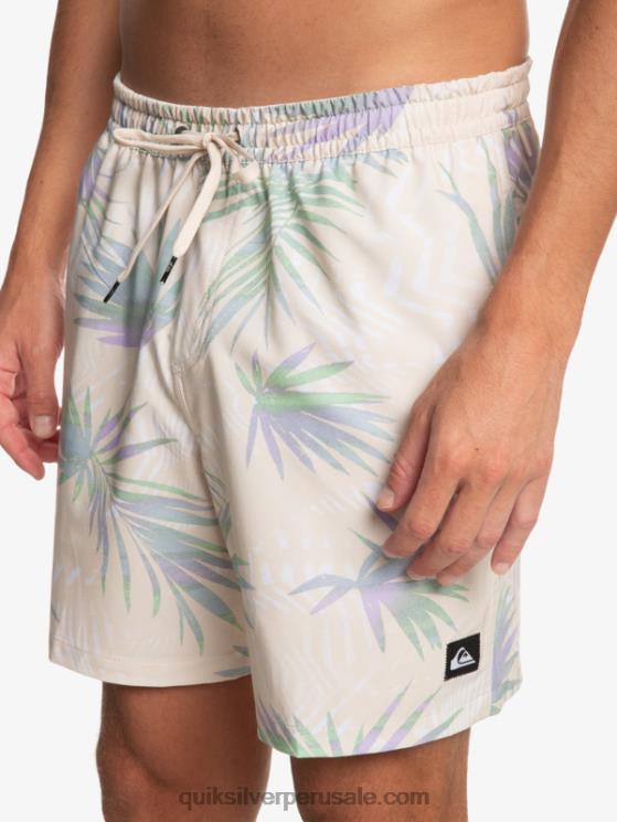 Quiksilver N8LNT635 hombres abedul mezcla surfsilk 17 voleas