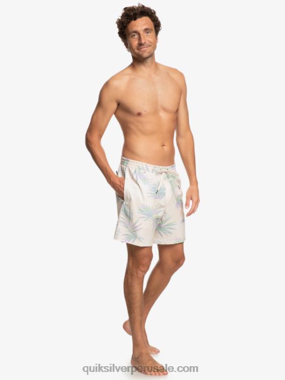 Quiksilver N8LNT635 hombres abedul mezcla surfsilk 17 voleas