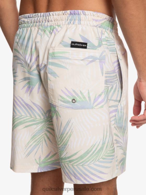 Quiksilver N8LNT635 hombres abedul mezcla surfsilk 17 voleas