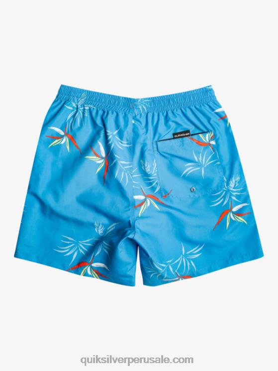 Quiksilver N8LNT674 hombres azul celeste mezcla todos los días 17 voleas