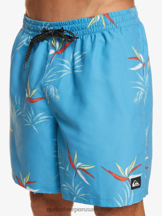 Quiksilver N8LNT674 hombres azul celeste mezcla todos los días 17 voleas