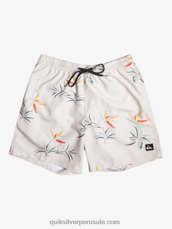 Quiksilver N8LNT676 hombres abedul mezcla todos los días 17 voleas