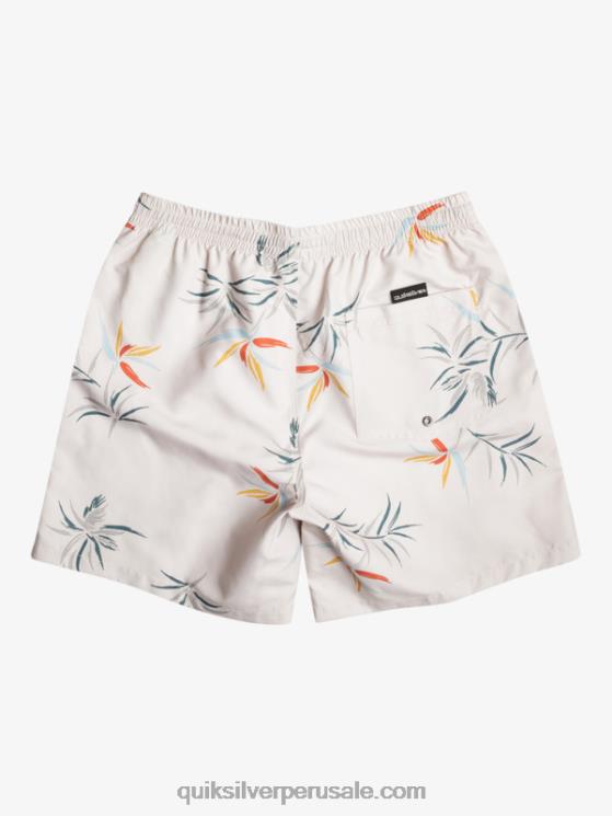 Quiksilver N8LNT676 hombres abedul mezcla todos los días 17 voleas