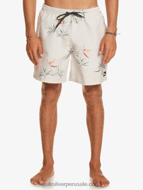 Quiksilver N8LNT676 hombres abedul mezcla todos los días 17 voleas