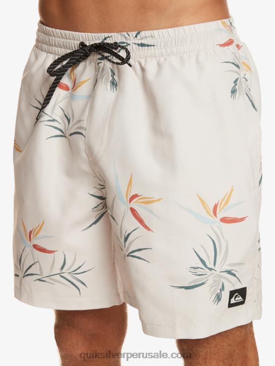 Quiksilver N8LNT676 hombres abedul mezcla todos los días 17 voleas