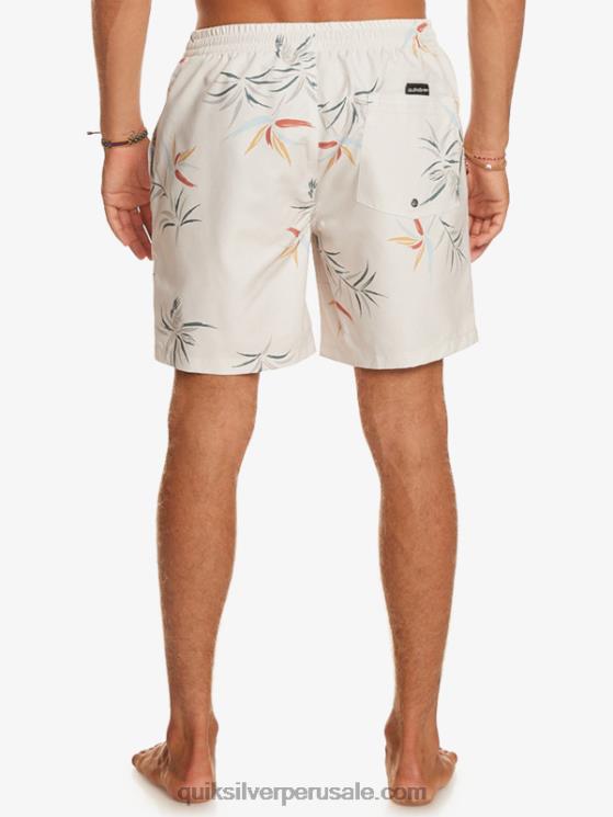 Quiksilver N8LNT676 hombres abedul mezcla todos los días 17 voleas