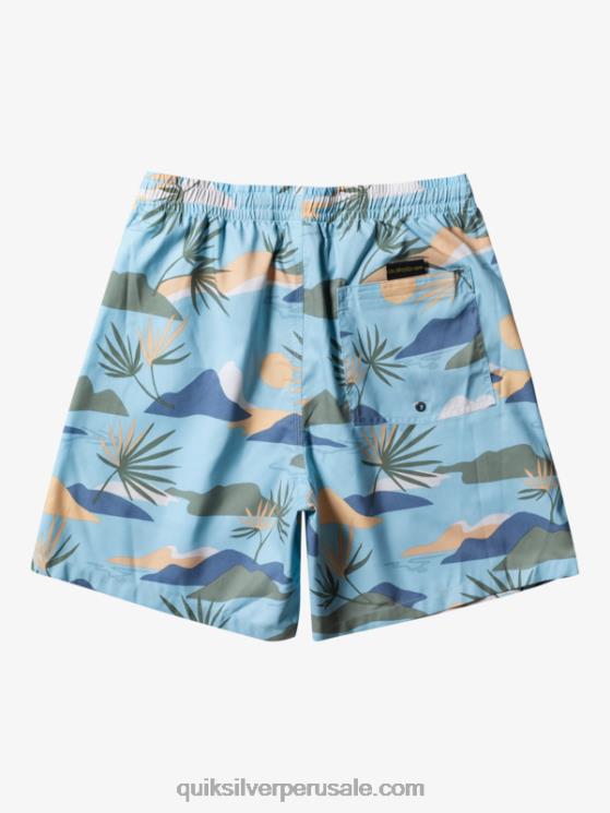 Quiksilver N8LNT677 hombres cielo azul mezcla todos los días 17 voleas