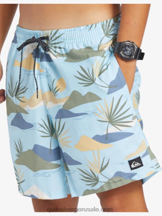 Quiksilver N8LNT677 hombres cielo azul mezcla todos los días 17 voleas