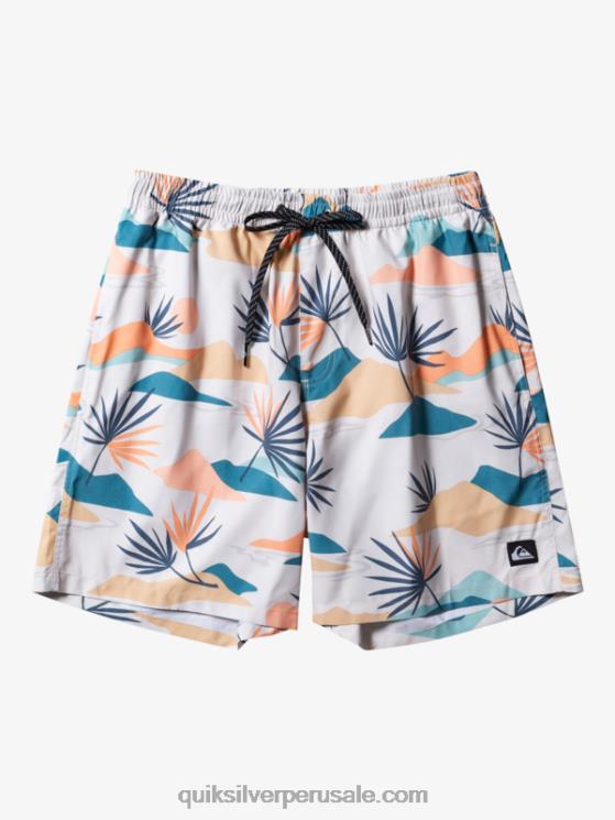 Quiksilver N8LNT678 hombres abedul mezcla todos los días 17 voleas
