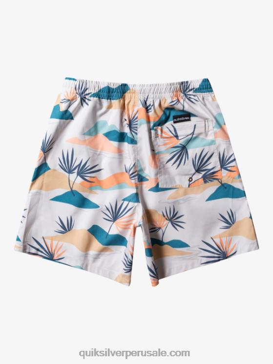 Quiksilver N8LNT678 hombres abedul mezcla todos los días 17 voleas