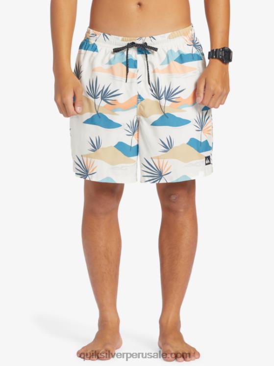 Quiksilver N8LNT678 hombres abedul mezcla todos los días 17 voleas
