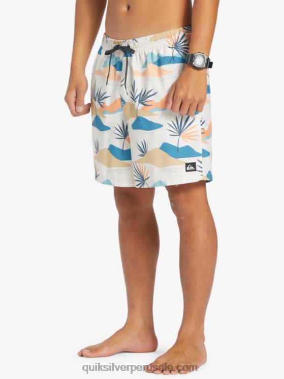 Quiksilver N8LNT678 hombres abedul mezcla todos los días 17 voleas