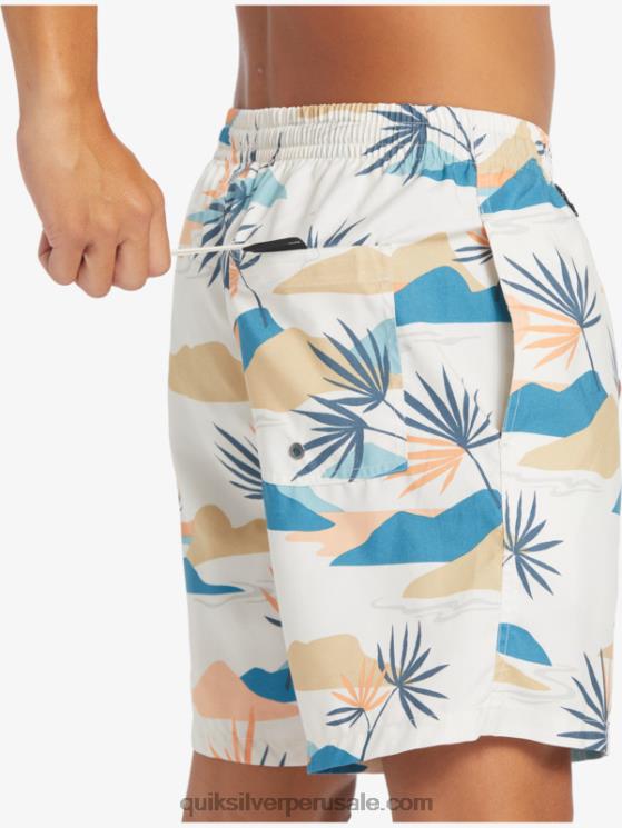 Quiksilver N8LNT678 hombres abedul mezcla todos los días 17 voleas