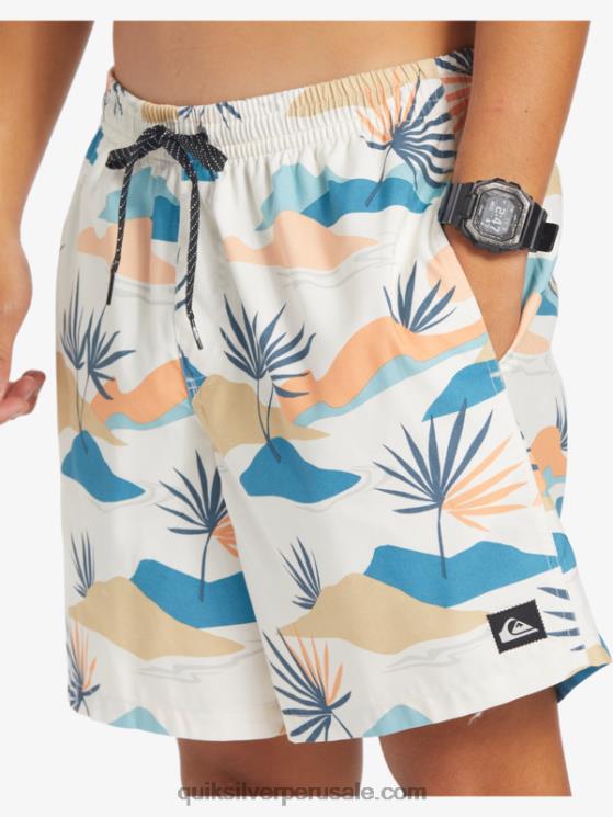 Quiksilver N8LNT678 hombres abedul mezcla todos los días 17 voleas