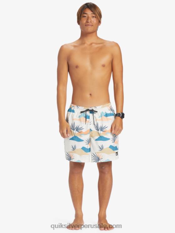 Quiksilver N8LNT678 hombres abedul mezcla todos los días 17 voleas