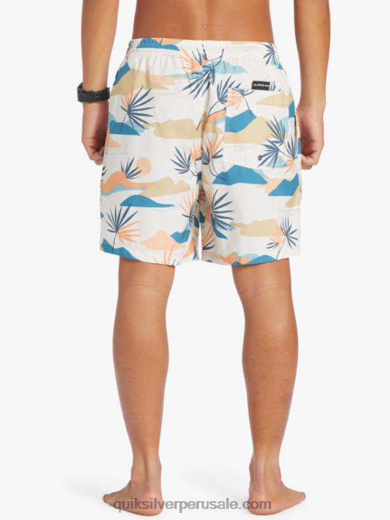 Quiksilver N8LNT678 hombres abedul mezcla todos los días 17 voleas
