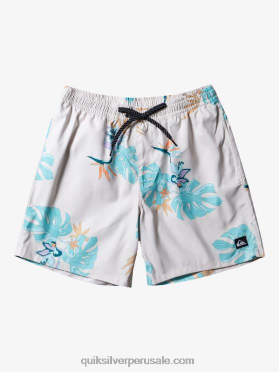 Quiksilver N8LNT679 hombres blanco mezcla todos los días 17 voleas