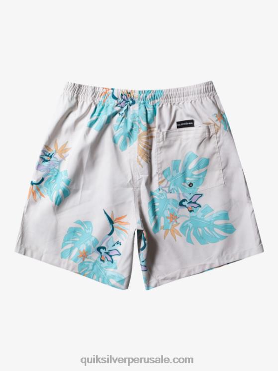 Quiksilver N8LNT679 hombres blanco mezcla todos los días 17 voleas