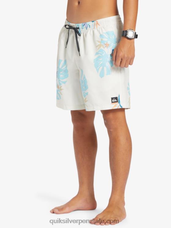 Quiksilver N8LNT679 hombres blanco mezcla todos los días 17 voleas