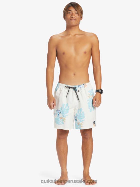 Quiksilver N8LNT679 hombres blanco mezcla todos los días 17 voleas