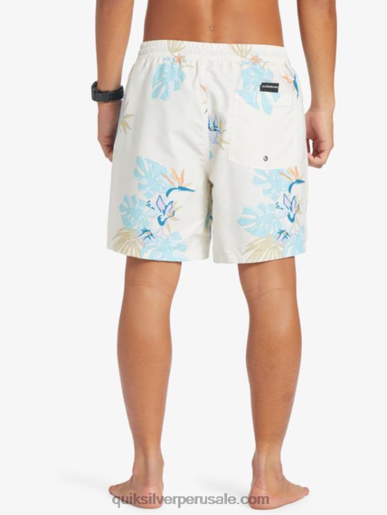 Quiksilver N8LNT679 hombres blanco mezcla todos los días 17 voleas