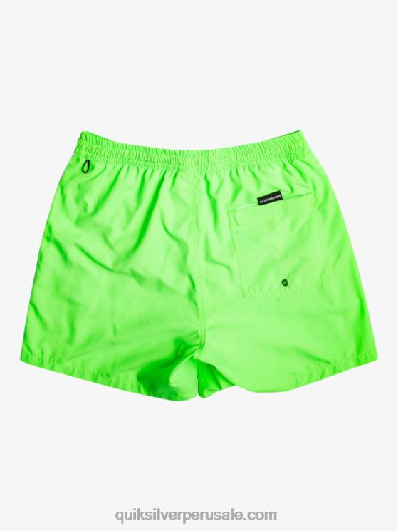 Quiksilver N8LNT696 hombres geco verde todos los días vert 16 voleas